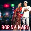 About Bor Na Karo Song
